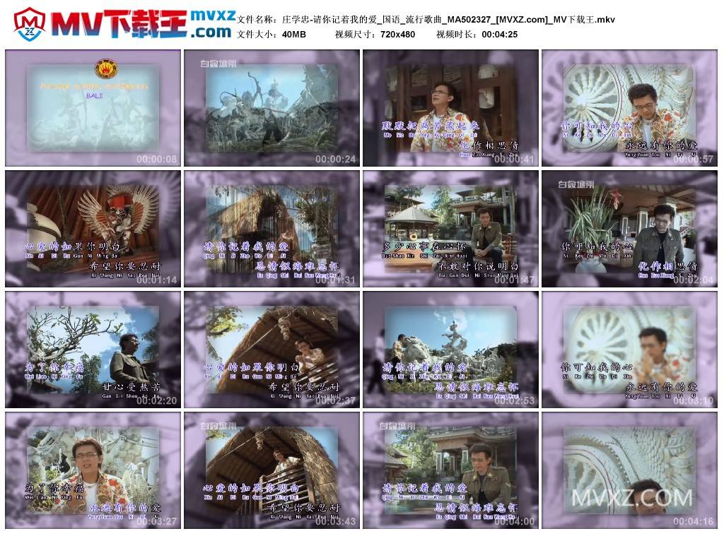 庄学忠-请你记着我的爱_国语_流行歌曲_MA502327